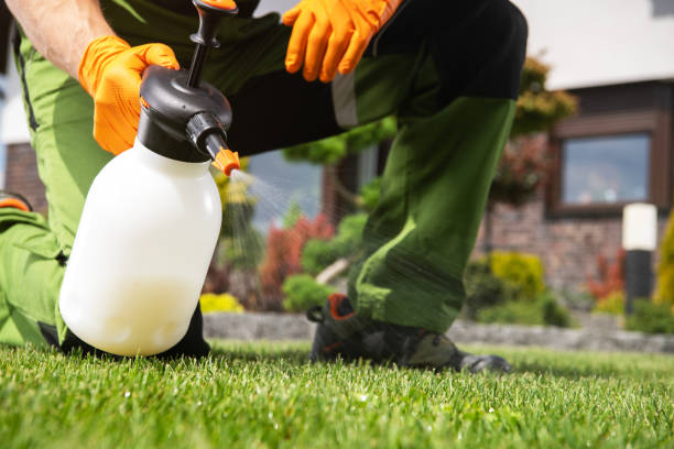 Best Organic or Eco-Friendly Pest Control  in Mertzon, TX